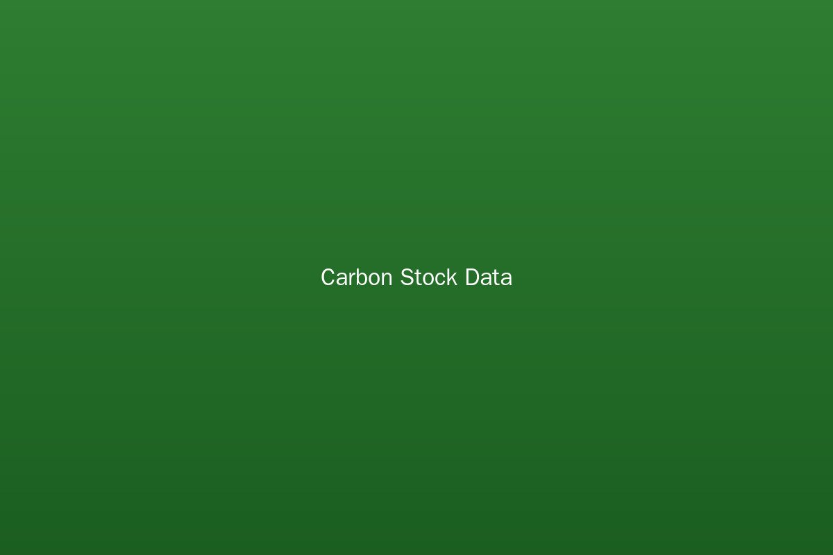 Carbon stock data visualization